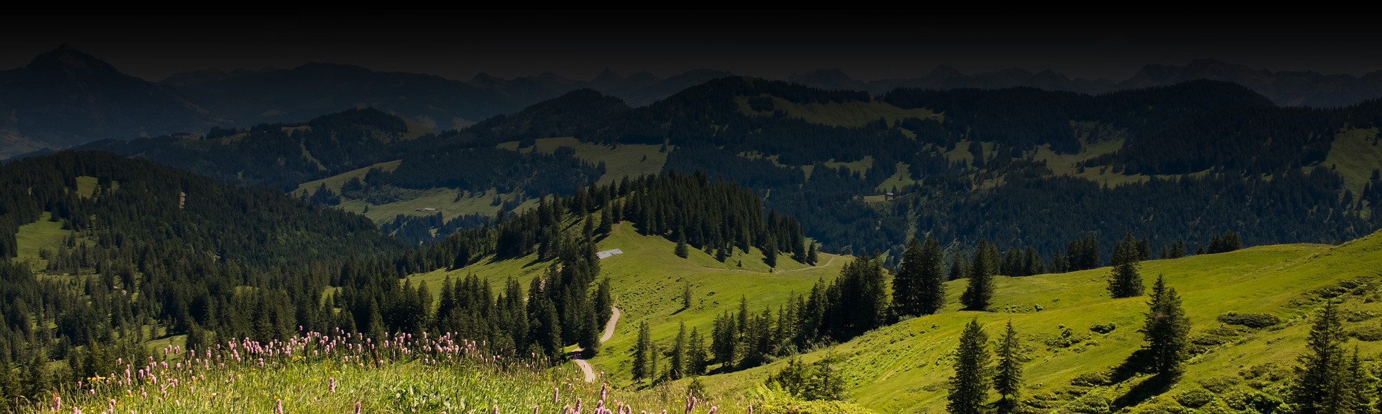 Allgäu Header 