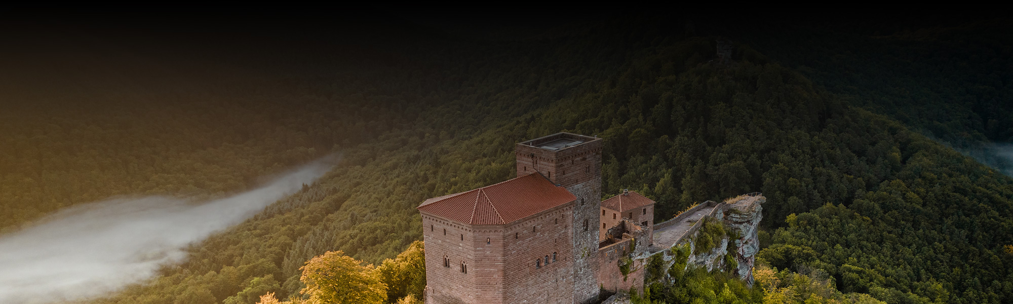 Pfälzer Wald Header