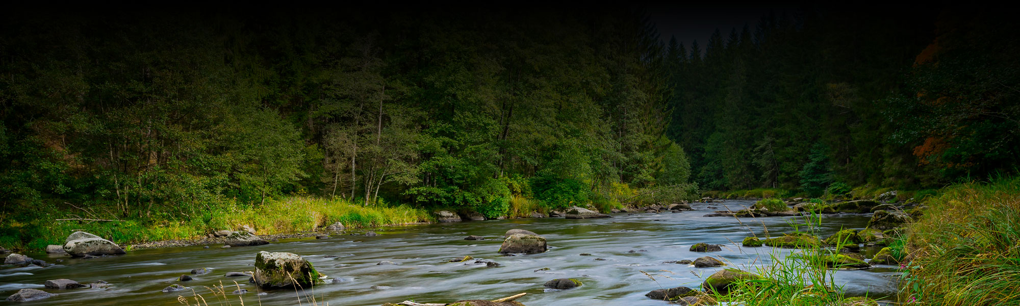 Bayerischer_Wald-Header