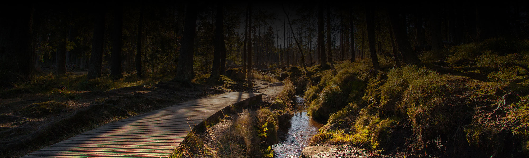 Harz_Header